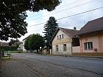 Třibřichy