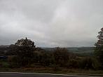 Borovina
