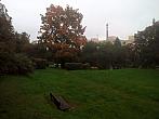 Borovina
