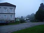 Třibřichy