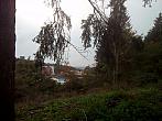 Borovina