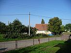 Třibřichy