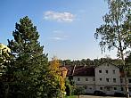 Borovina