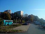 Borovina