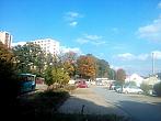 Borovina