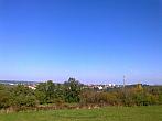 Borovina