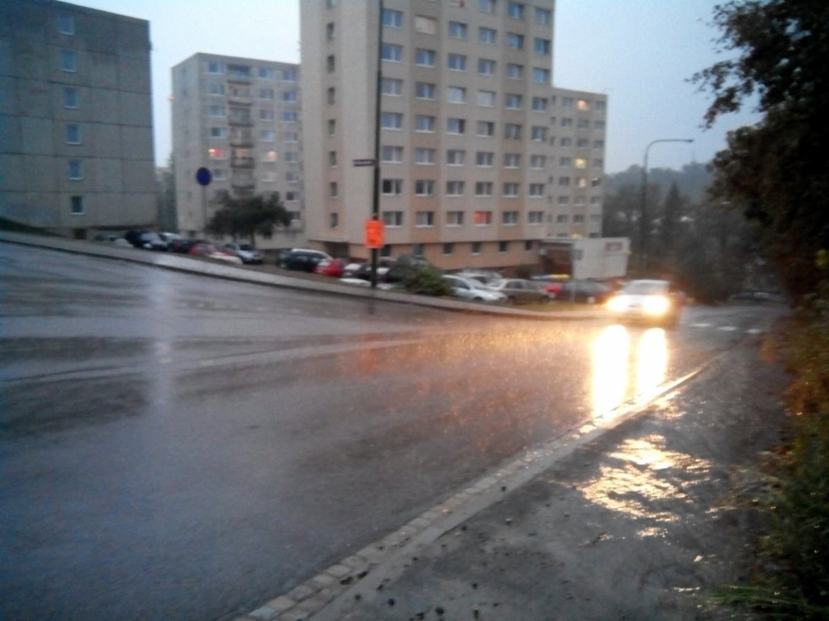 Borovina