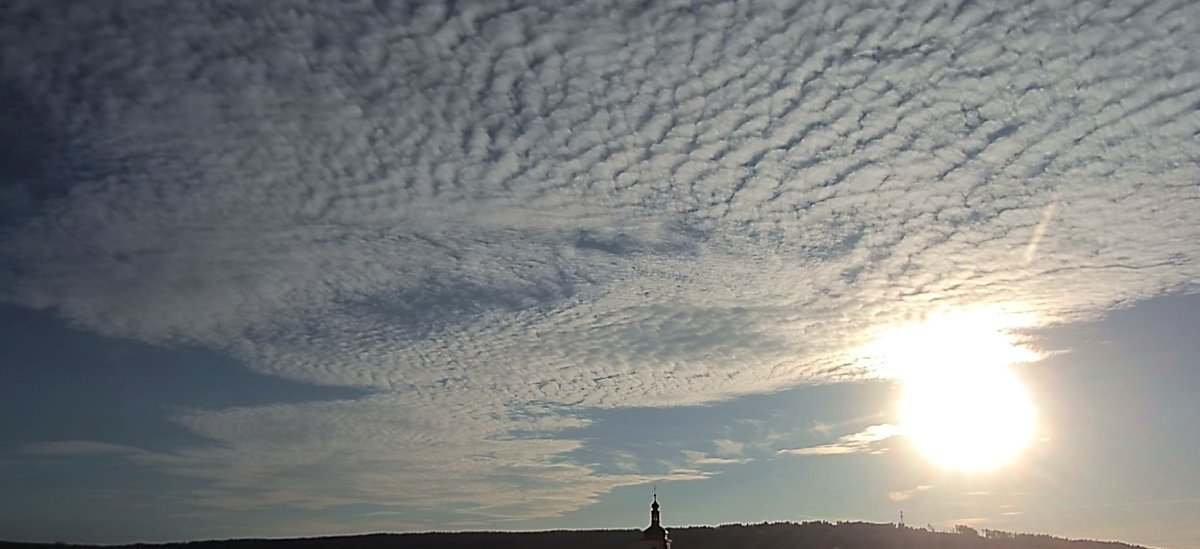 Stařeč