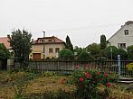 Třibřichy