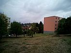 Borovina