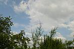 Hradec Králové