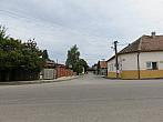Třibřichy