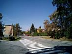 Borovina