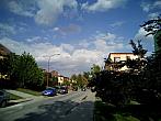 Borovina