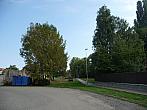 Třibřichy