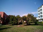 Borovina
