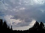 Borovina