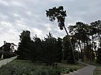Neratovice