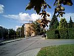 Borovina