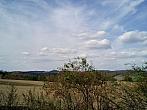 Borovina