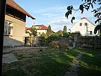 Třibřichy