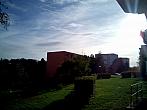 Borovina