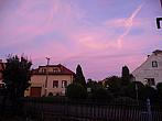 Třibřichy