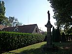 Třibřichy