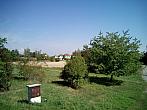 Borovina