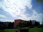 Borovina