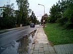 Borovina