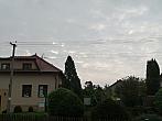 Třibřichy