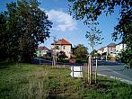 Borovina
