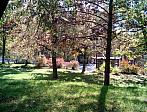 Borovina