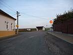 Třibřichy