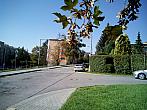 Borovina