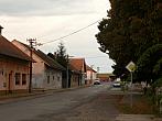 Třibřichy
