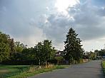 Třibřichy