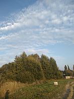 Pacov