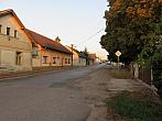 Třibřichy