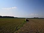 Císařov