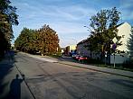 Borovina