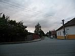 Třibřichy