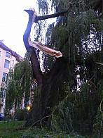Varnsdorf
