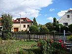 Třibřichy