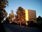 Borovina