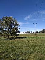 Pacov