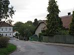 Třibřichy
