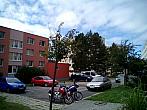 Borovina