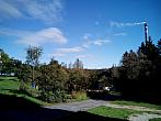 Borovina